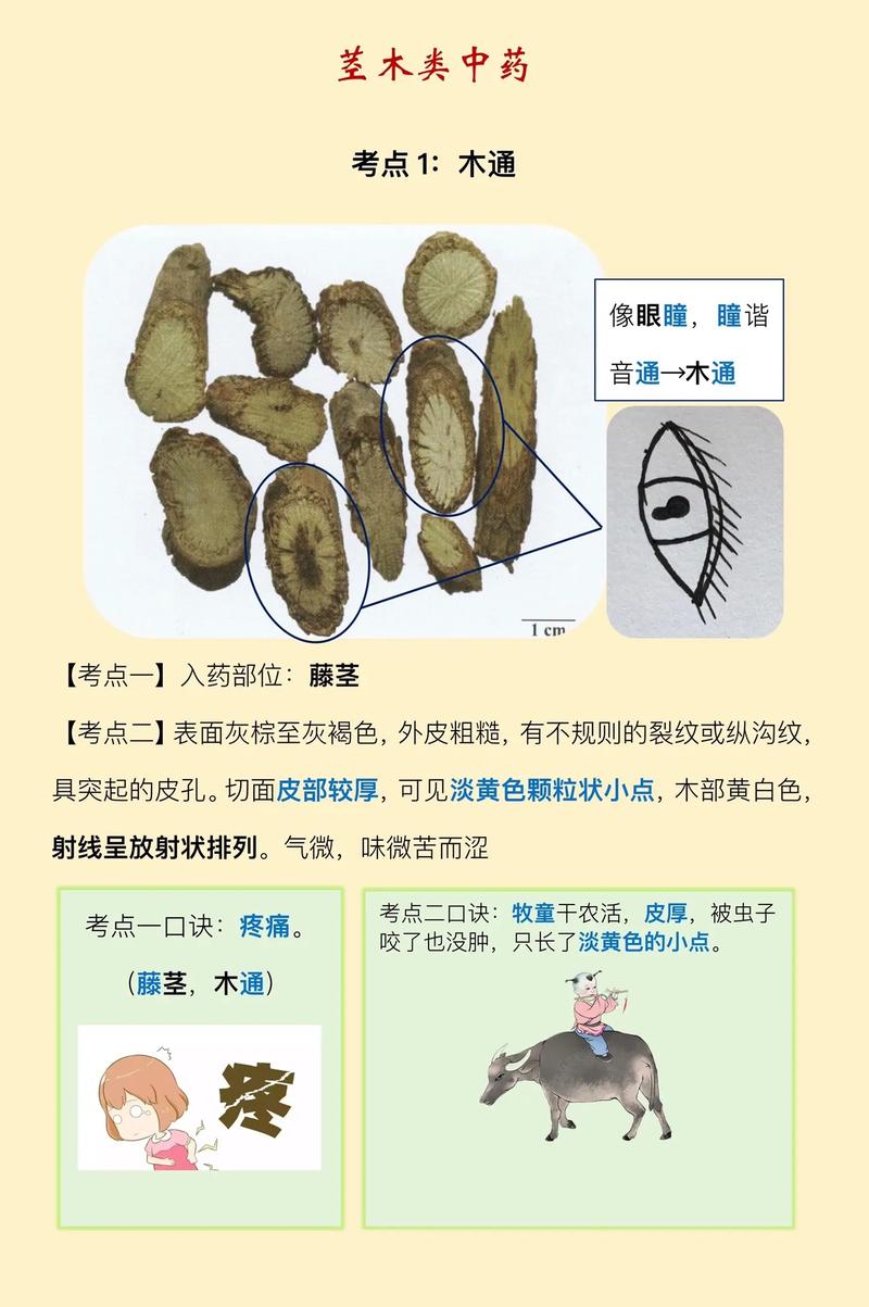 梵健印度代购希爱力是真的吗？避坑指南与正品鉴别全攻略